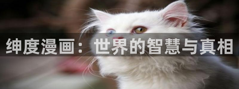 香蕉漫画免费读漫画